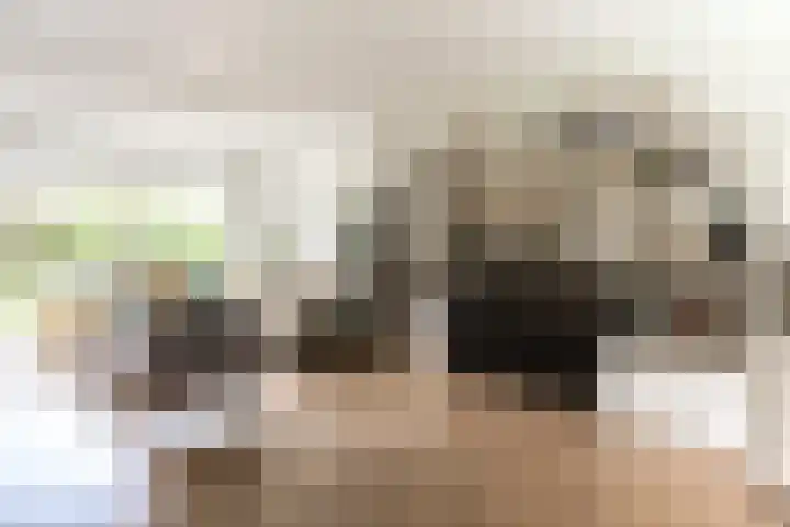Rembrandtlaan 71 Bergschenhoek thumbnail 15