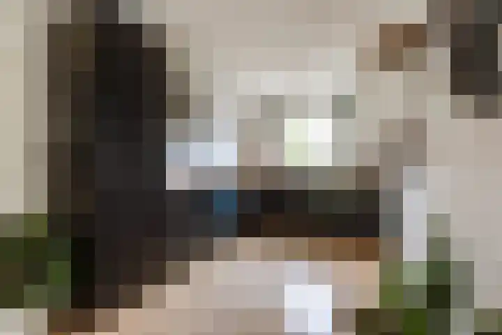 Rembrandtlaan 71 Bergschenhoek thumbnail 16