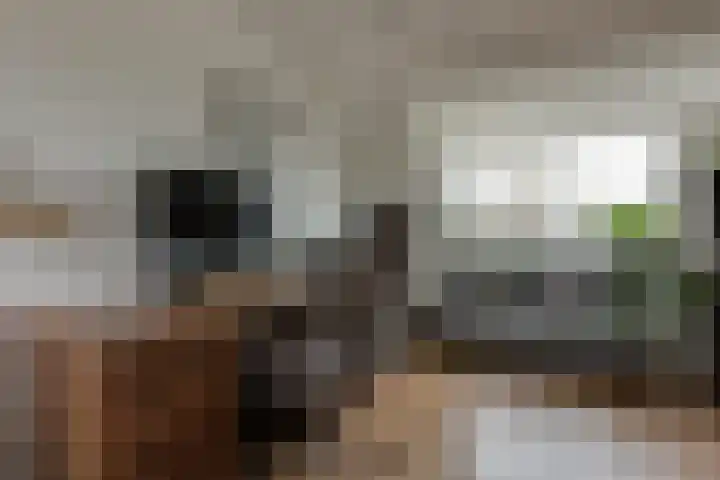 Rembrandtlaan 71 Bergschenhoek thumbnail 24