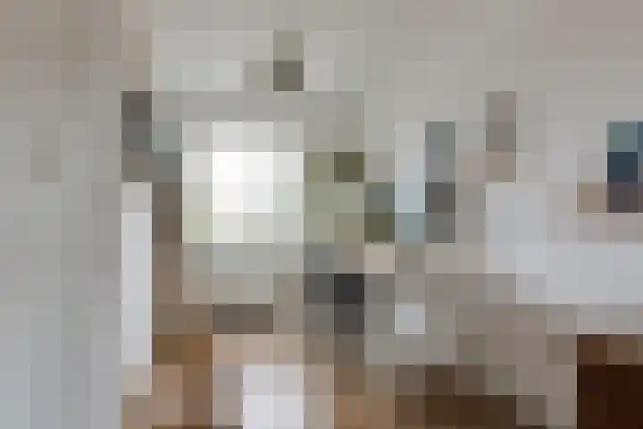 Rembrandtlaan 71 Bergschenhoek thumbnail 25