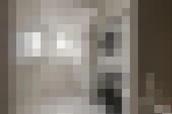 Rembrandtlaan 71 Bergschenhoek thumbnail 27