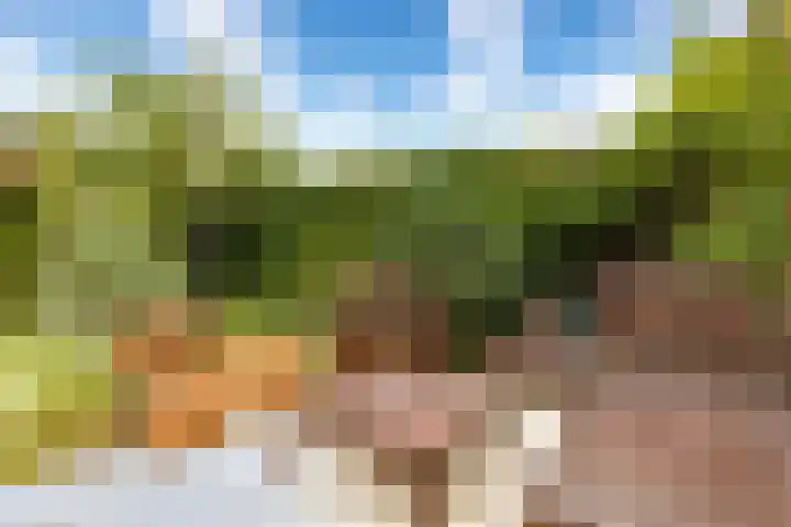 Rembrandtlaan 71 Bergschenhoek thumbnail 28