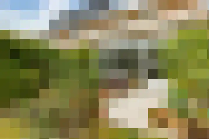 Rembrandtlaan 71 Bergschenhoek thumbnail 29