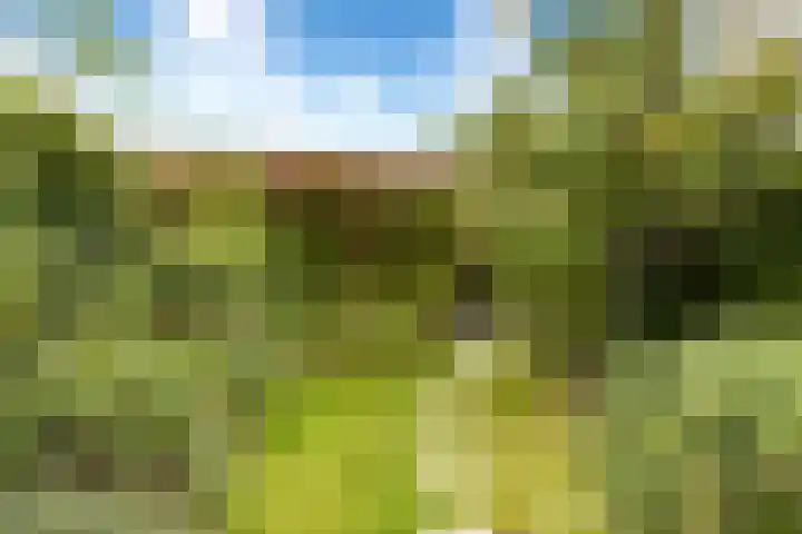Rembrandtlaan 71 Bergschenhoek thumbnail 31