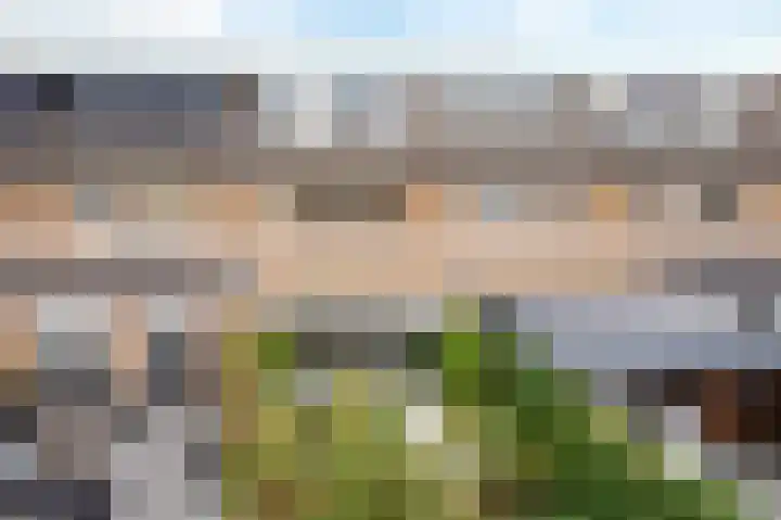 Rembrandtlaan 71 Bergschenhoek thumbnail 32