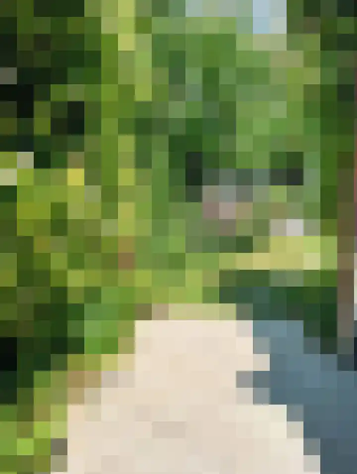 Rembrandtlaan 71 Bergschenhoek thumbnail 34