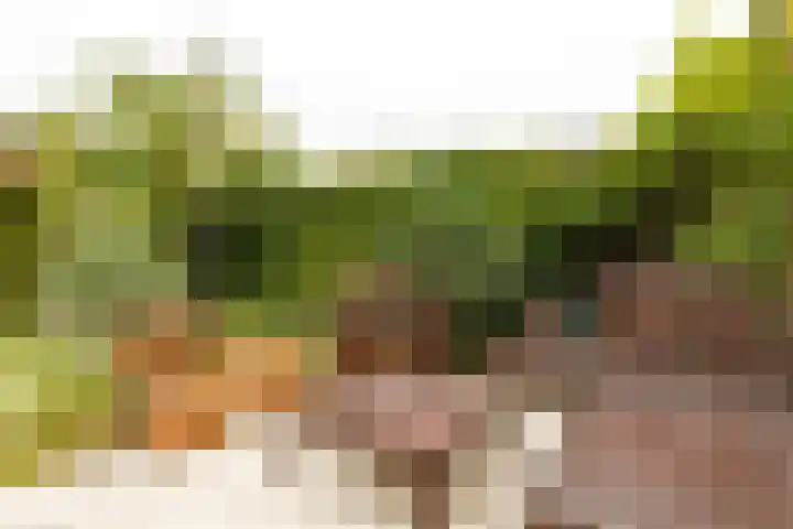 Rembrandtlaan 71 Bergschenhoek thumbnail 4