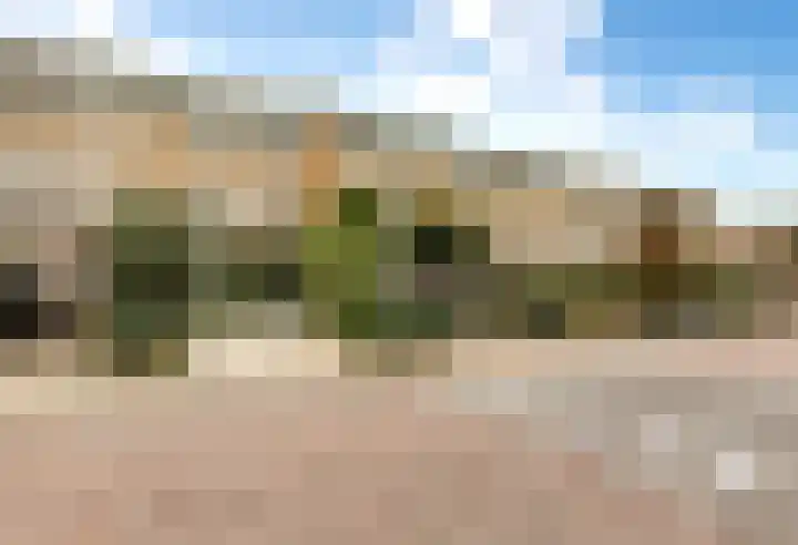 Rembrandtlaan 71 Bergschenhoek thumbnail 5
