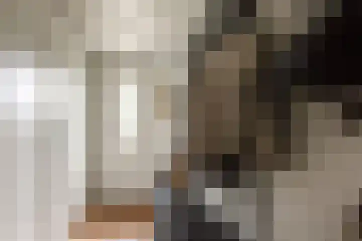 Rembrandtlaan 71 Bergschenhoek thumbnail 8