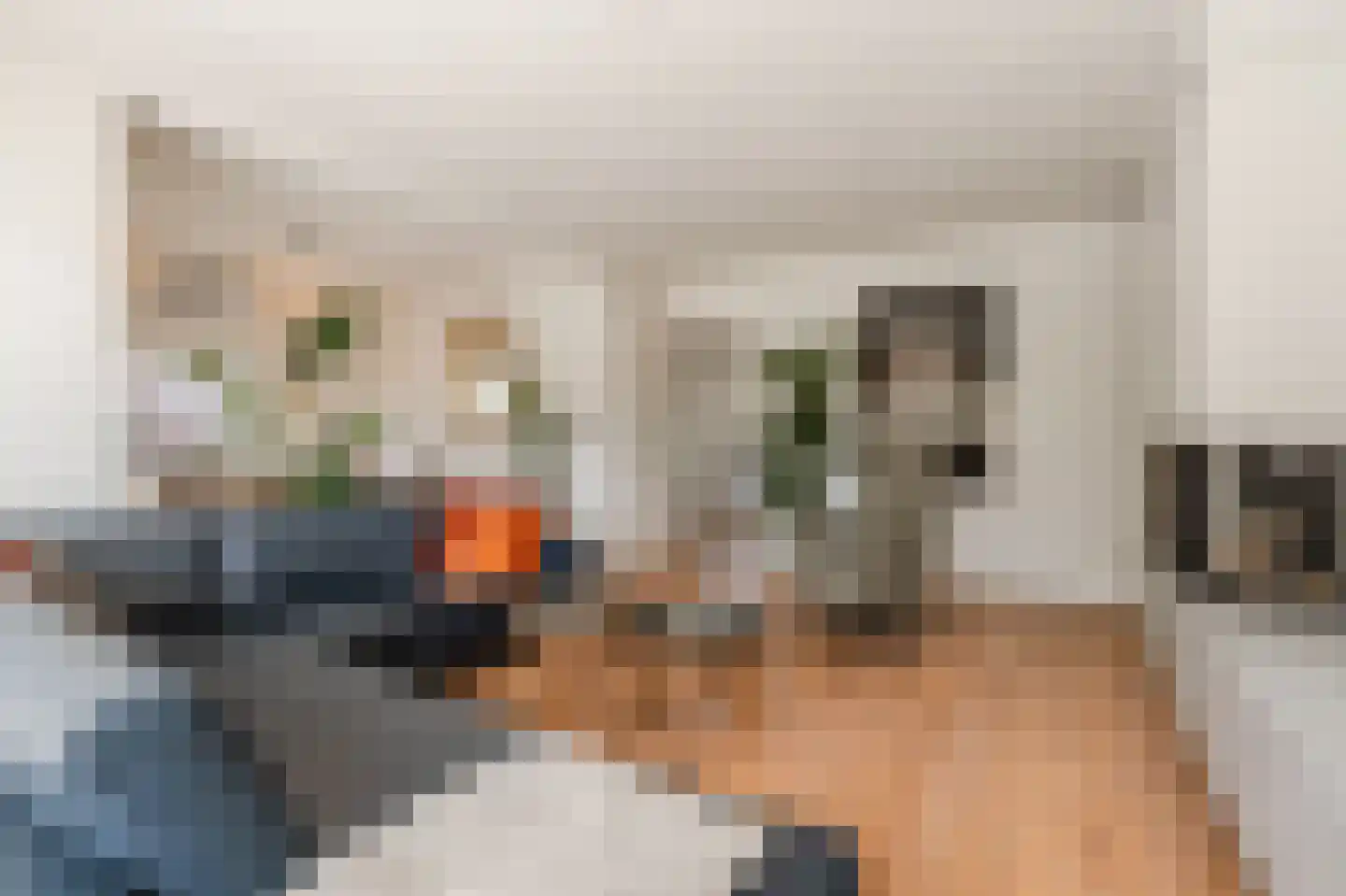 Rembrandtlaan 72 a Huizen thumbnail 11