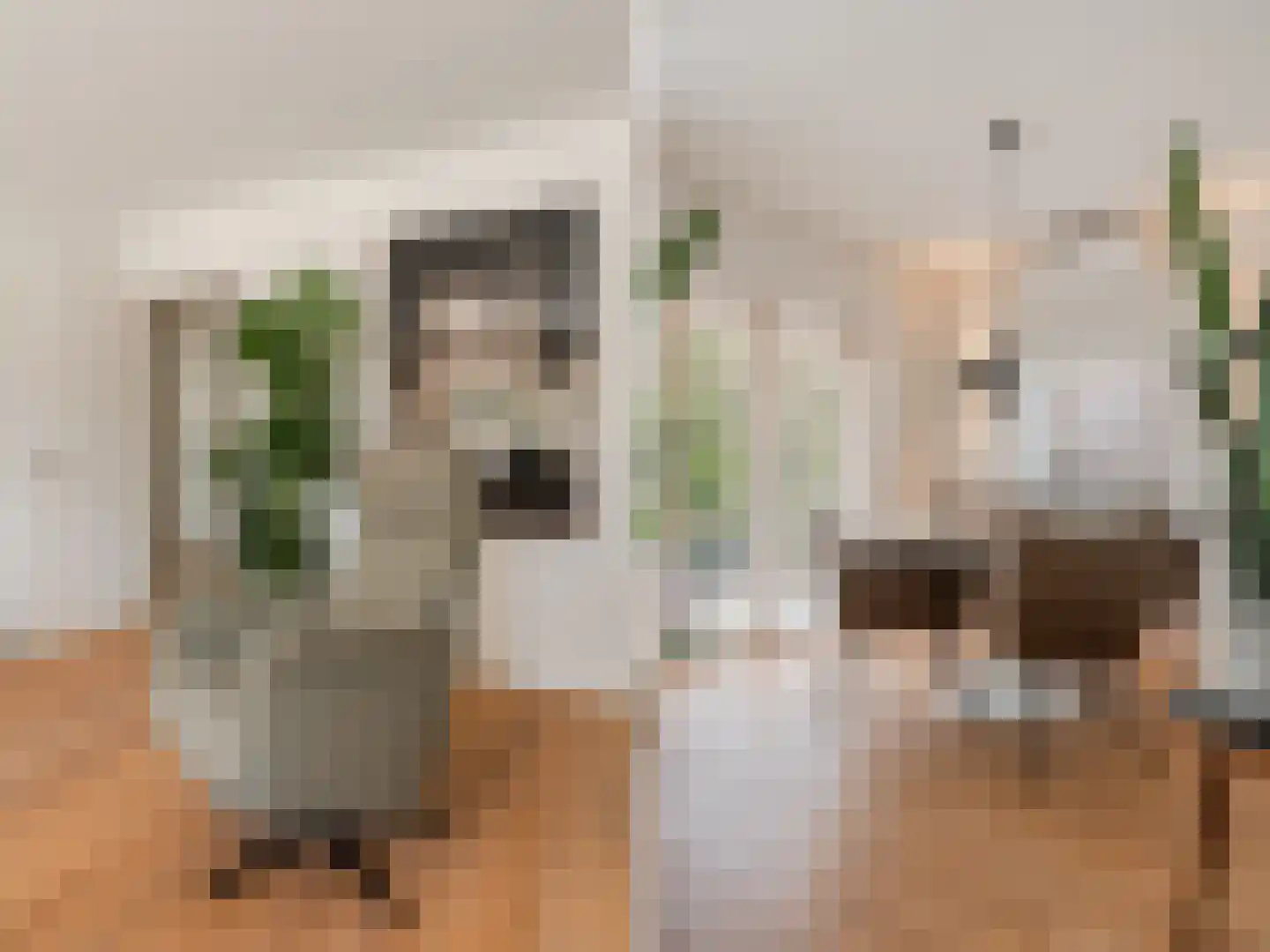 Rembrandtlaan 72 a Huizen thumbnail 13