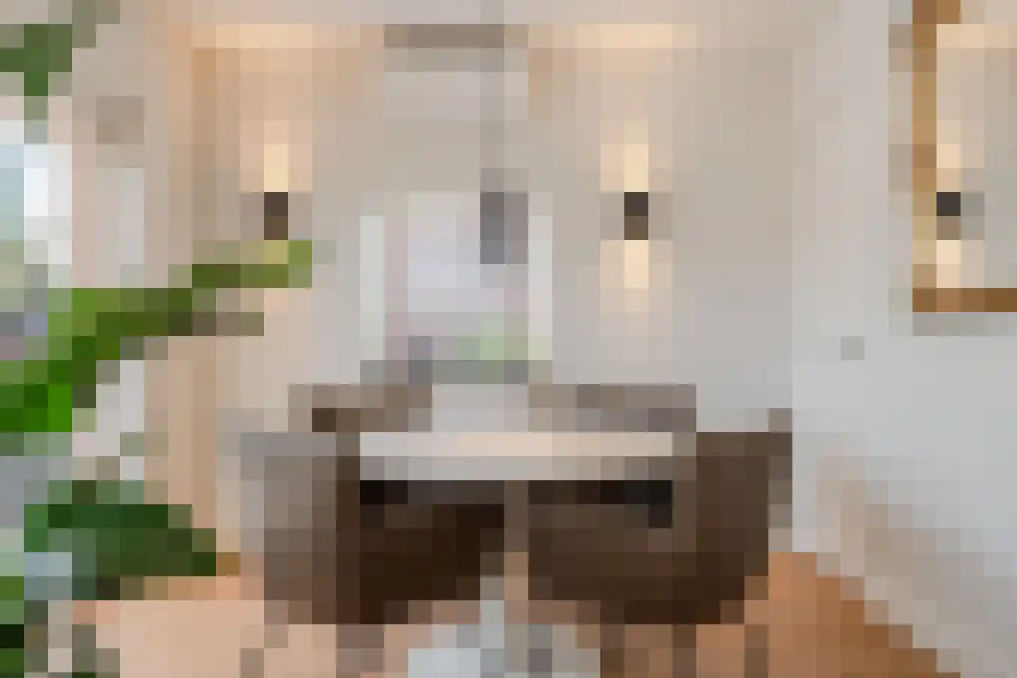Rembrandtlaan 72 a Huizen thumbnail 15