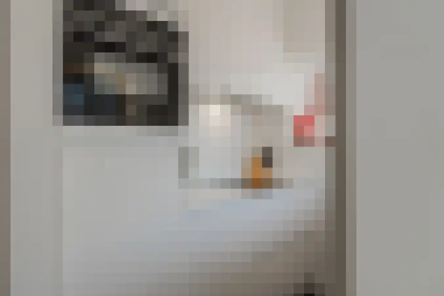 Rembrandtlaan 72 a Huizen thumbnail 23