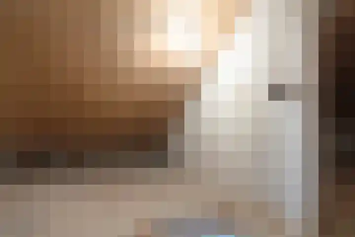 Rembrandtlaan 73 Apeldoorn thumbnail 16