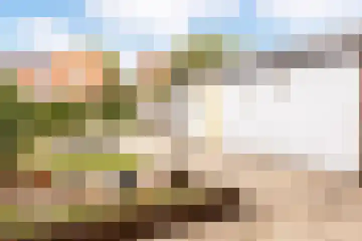 Rembrandtlaan 73 Apeldoorn thumbnail 19
