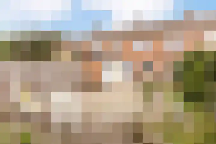 Rembrandtlaan 73 Apeldoorn thumbnail 20