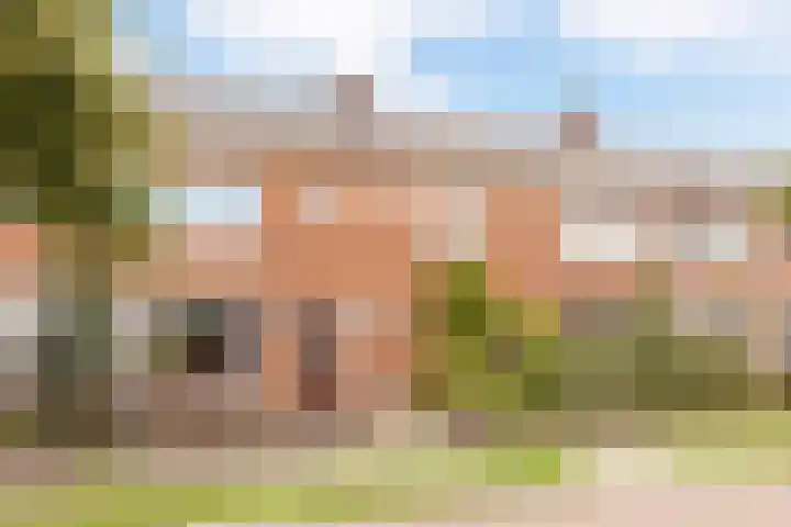 Rembrandtlaan 73 Apeldoorn thumbnail 22