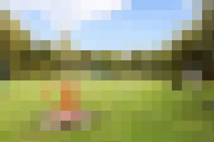 Rembrandtlaan 73 Apeldoorn thumbnail 25