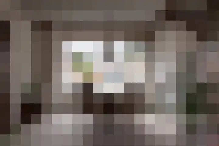 Rembrandtlaan 73 Apeldoorn thumbnail 5