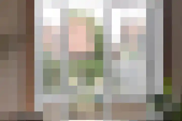 Rembrandtlaan 73 Apeldoorn thumbnail 8