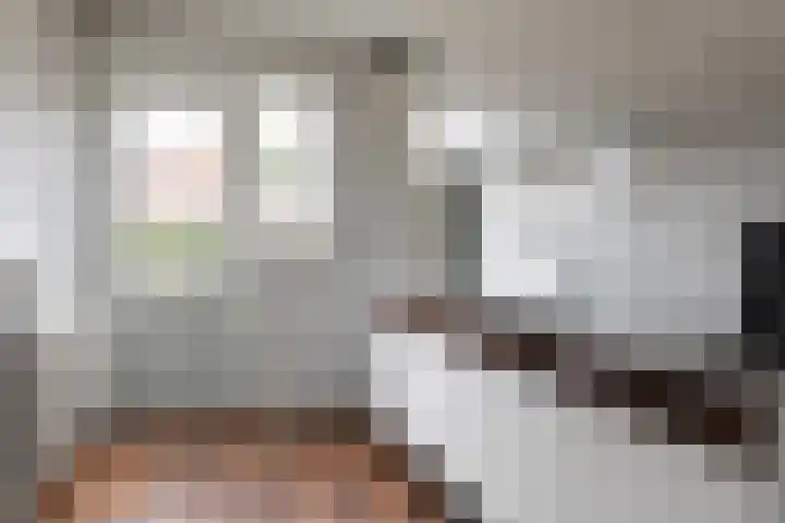 Rembrandtlaan 73 Apeldoorn thumbnail 9