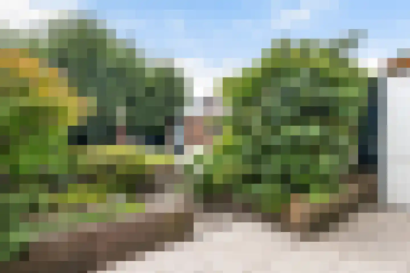 Rembrandtlaan 73 Dordrecht thumbnail 24