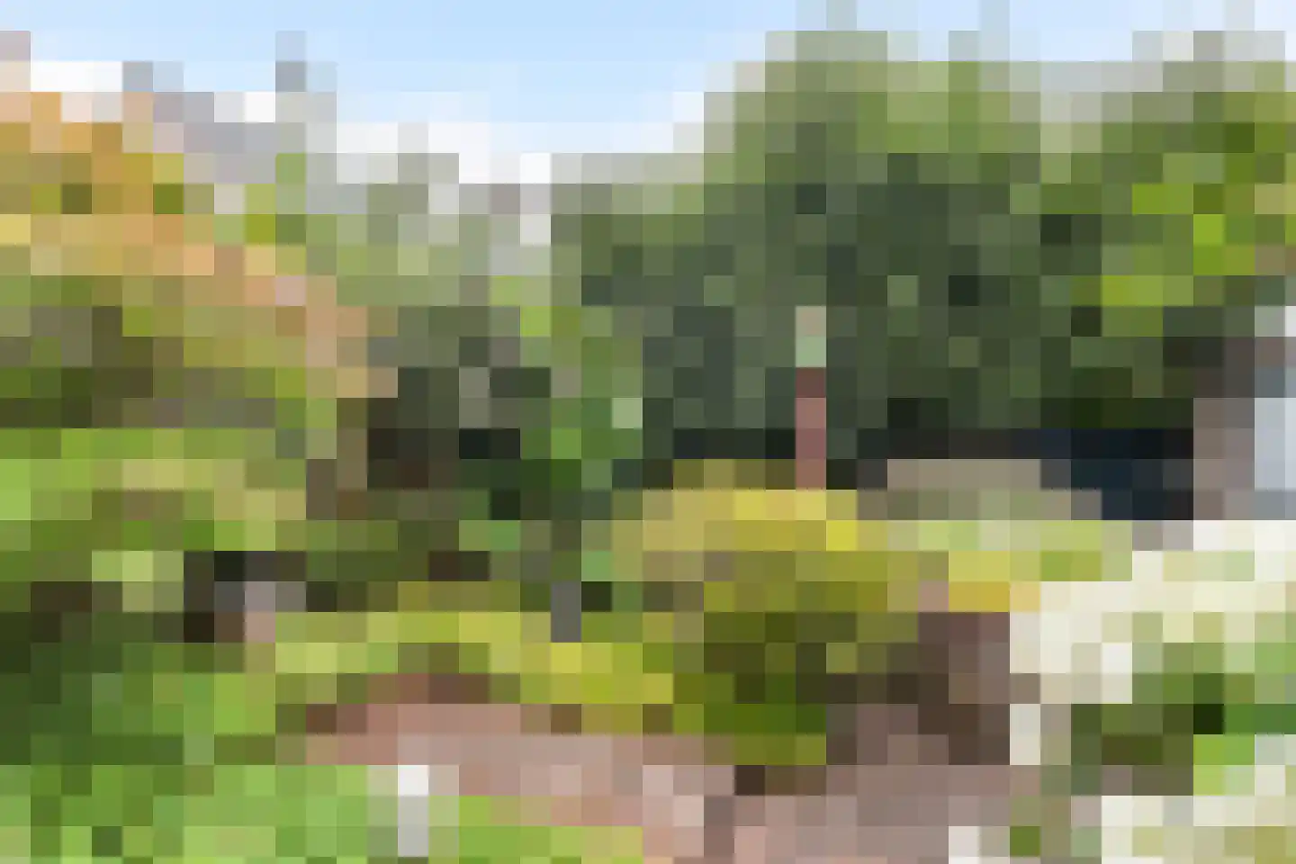 Rembrandtlaan 73 Dordrecht thumbnail 25