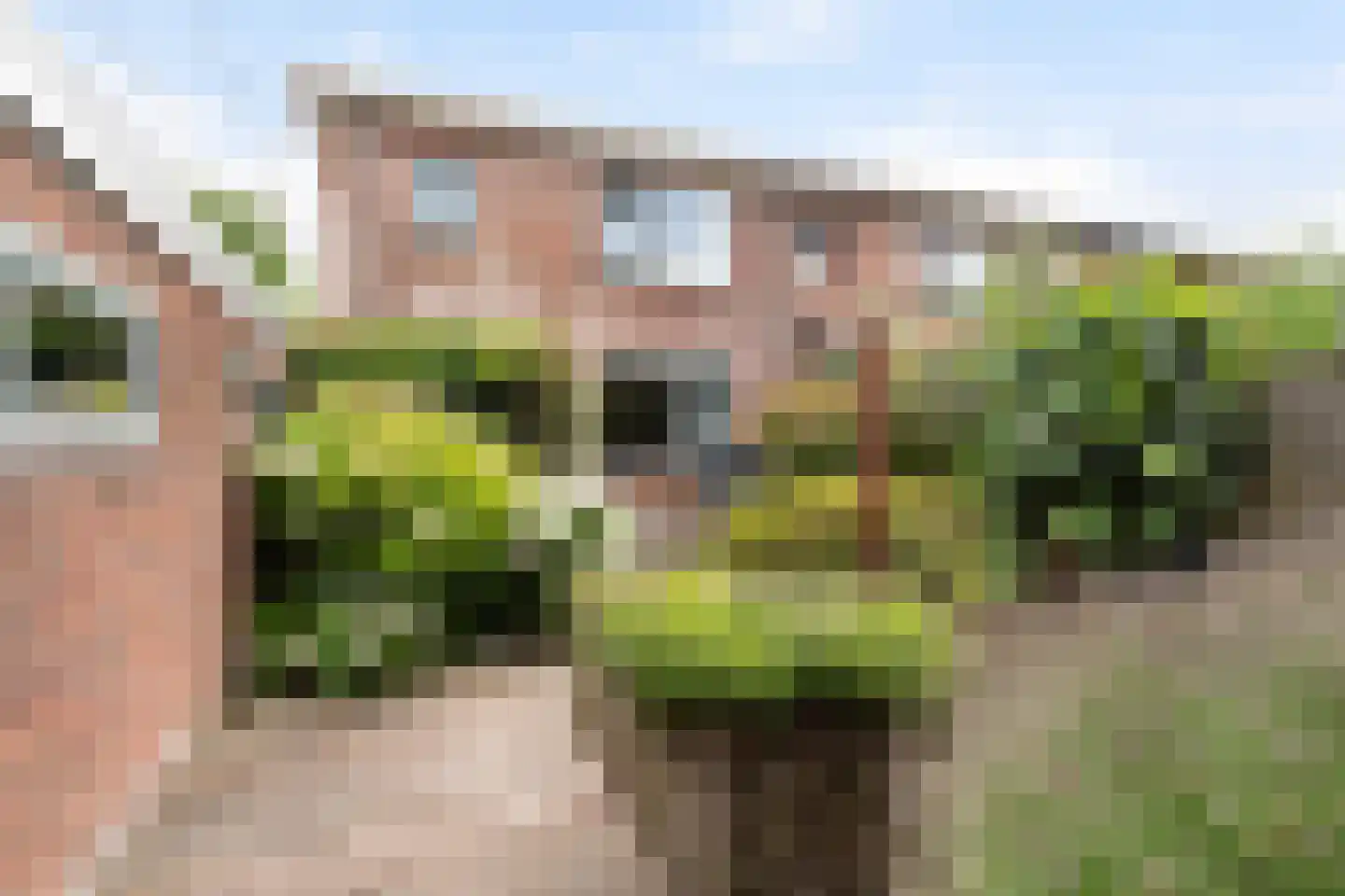 Rembrandtlaan 73 Dordrecht thumbnail 30
