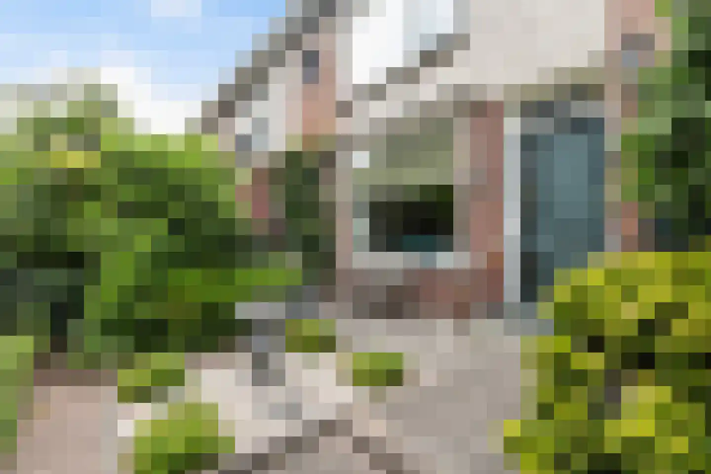 Rembrandtlaan 73 Dordrecht thumbnail 4