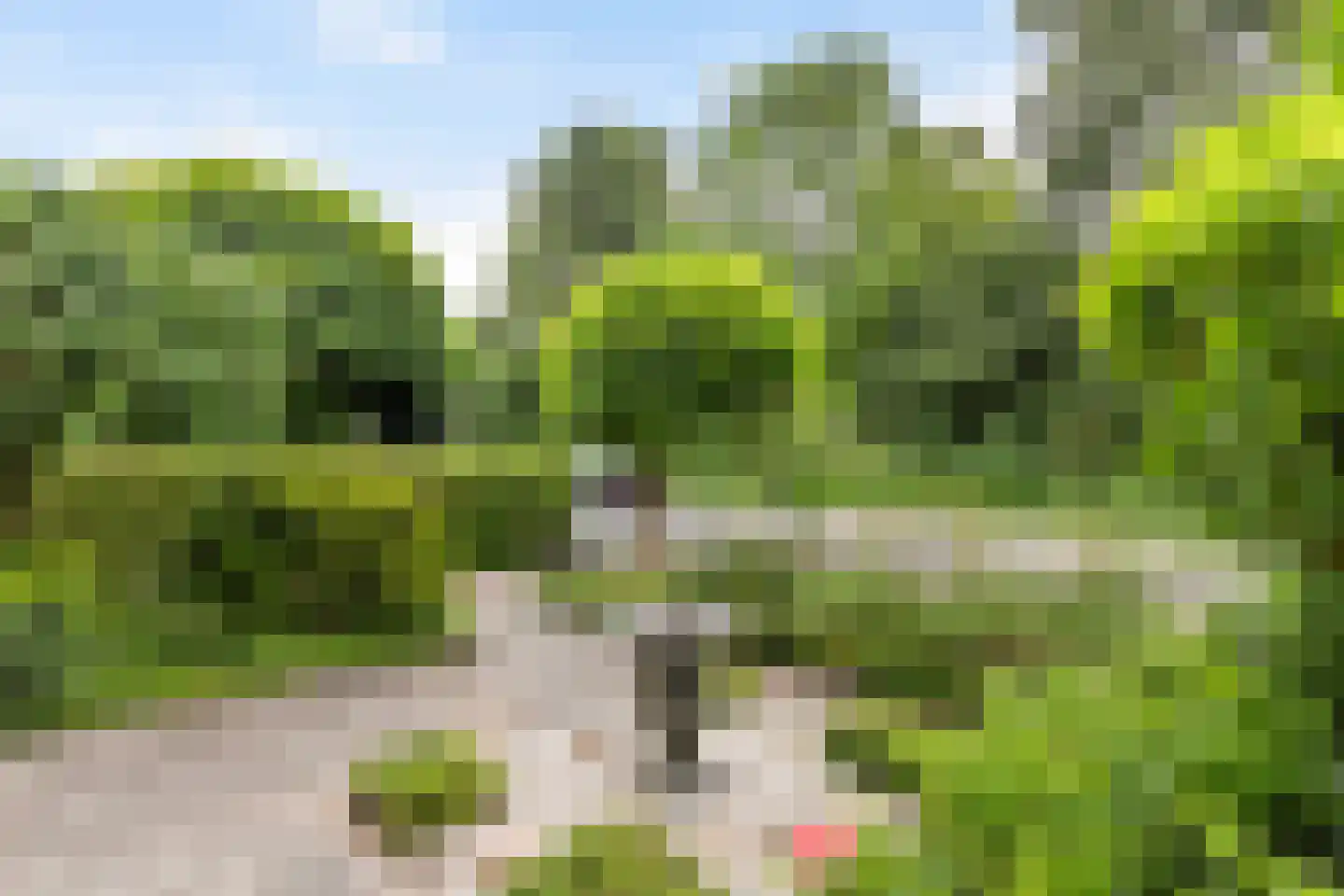 Rembrandtlaan 73 Dordrecht thumbnail 5