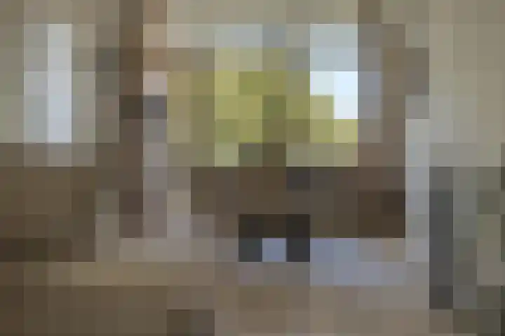 Rembrandtlaan 73 Hoogezand thumbnail 10