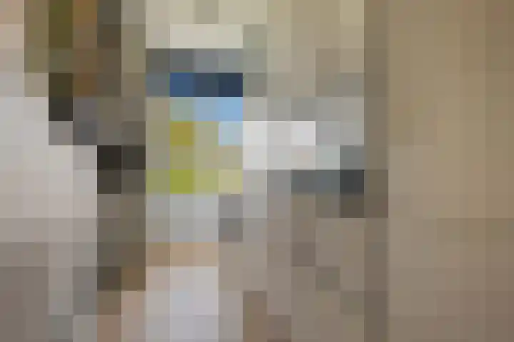 Rembrandtlaan 73 Hoogezand thumbnail 13