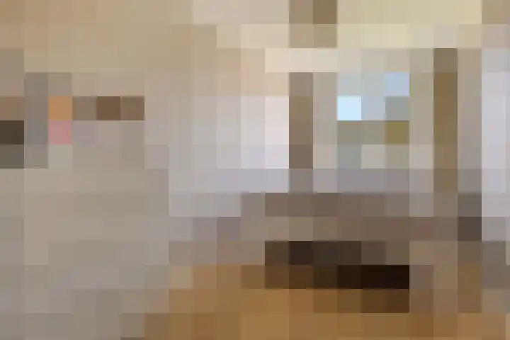 Rembrandtlaan 73 Hoogezand thumbnail 18