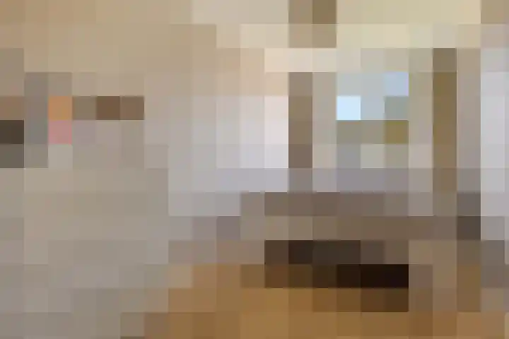 Rembrandtlaan 73 Hoogezand thumbnail 4