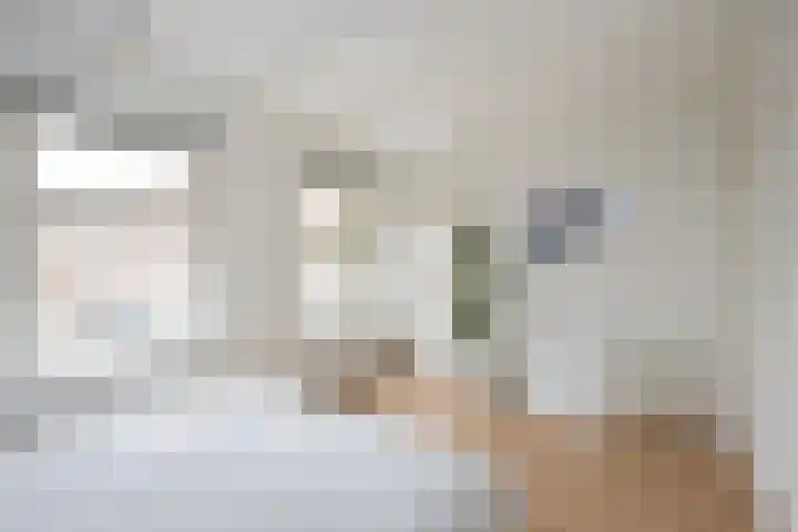 Rembrandtlaan 73 Zwolle thumbnail 12