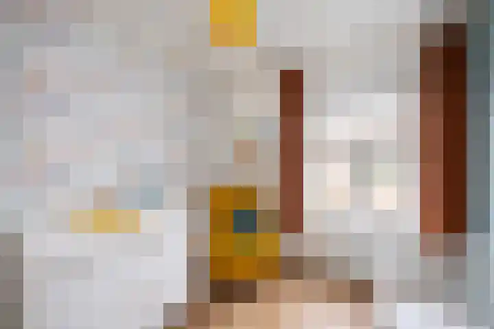 Rembrandtlaan 73 Zwolle thumbnail 14