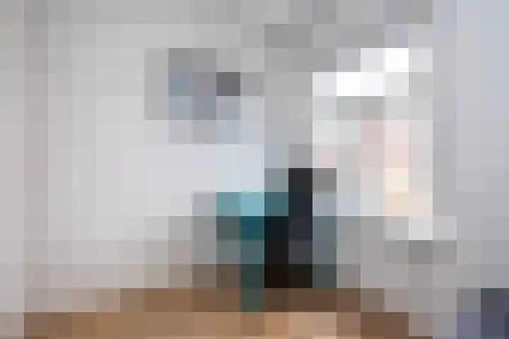 Rembrandtlaan 73 Zwolle thumbnail 17