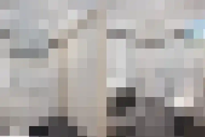 Rembrandtlaan 73 Zwolle thumbnail 18