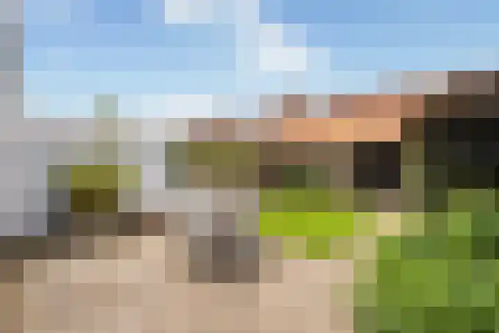 Rembrandtlaan 73 Zwolle thumbnail 21