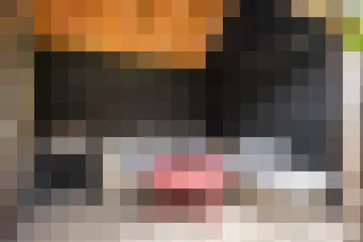 Rembrandtlaan 73 Zwolle thumbnail 22