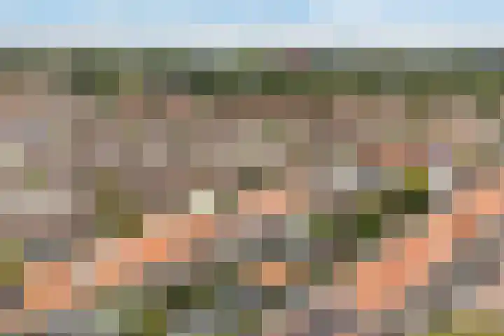 Rembrandtlaan 73 Zwolle thumbnail 24