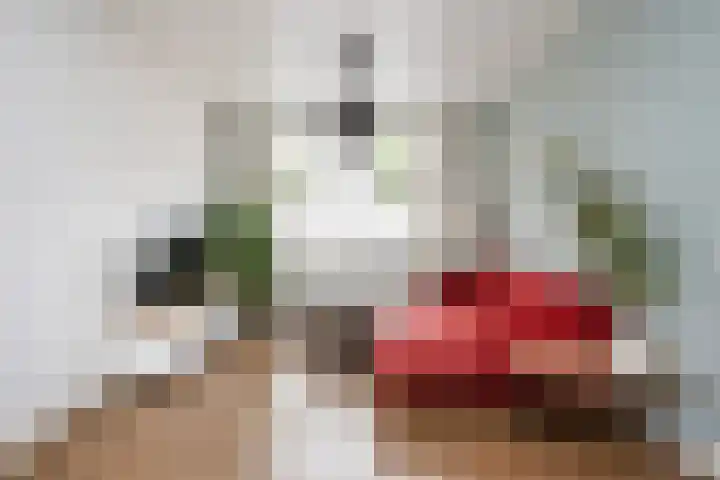 Rembrandtlaan 73 Zwolle thumbnail 4