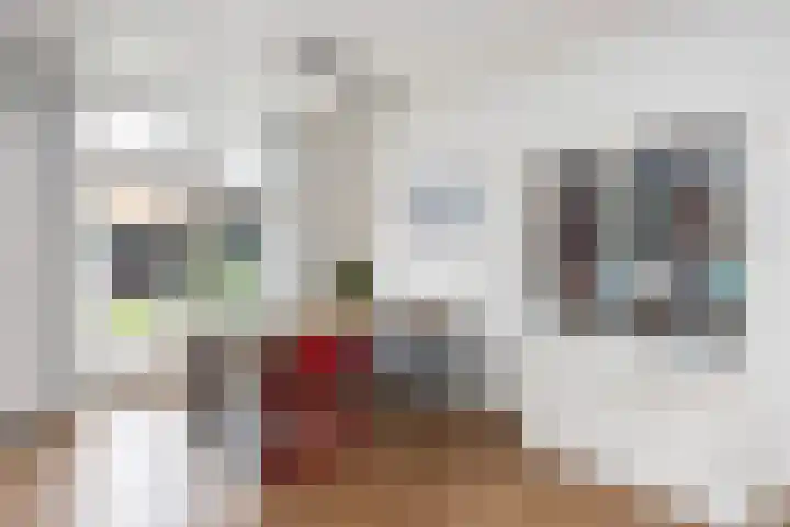 Rembrandtlaan 73 Zwolle thumbnail 5