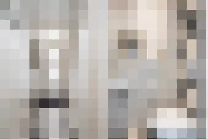 Rembrandtlaan 73 Zwolle thumbnail 9