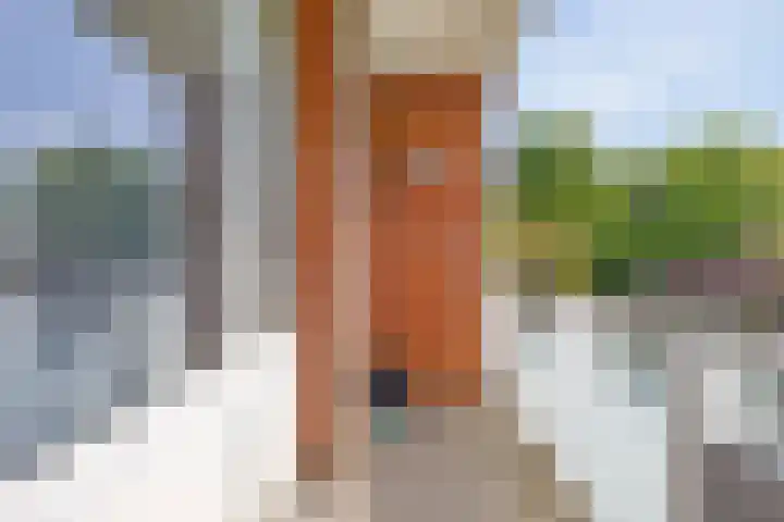 Rembrandtlaan 74 Enschede thumbnail 19