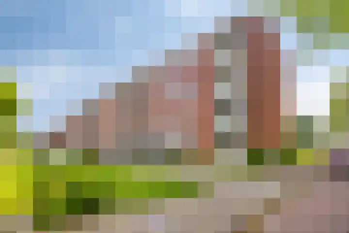 Rembrandtlaan 74 Enschede thumbnail 27