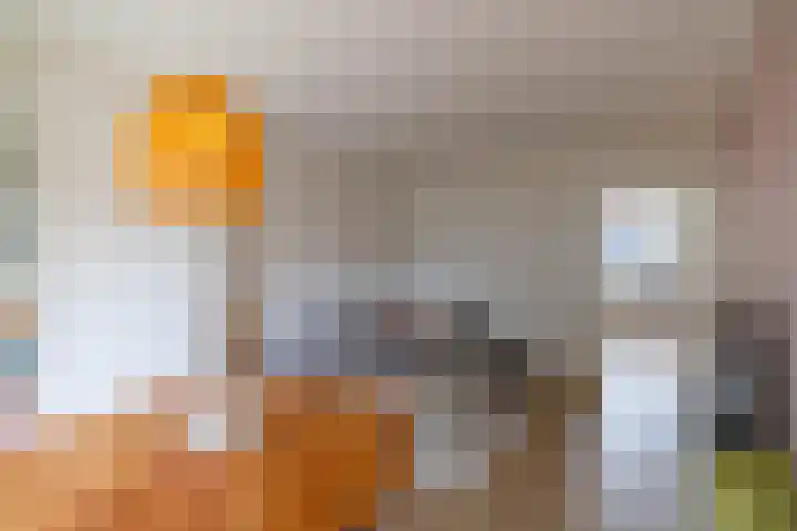 Rembrandtlaan 75 Hoogezand thumbnail 12