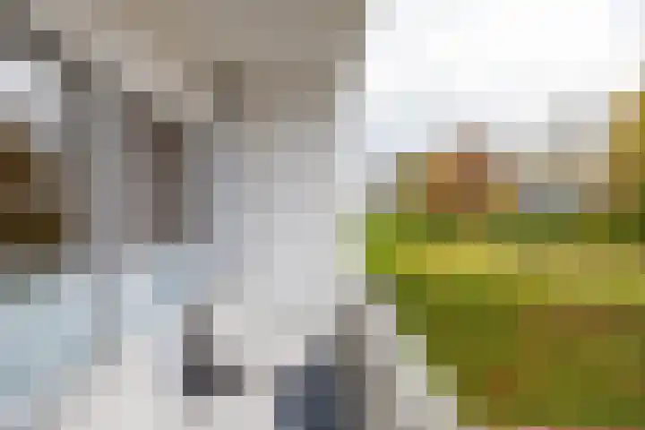 Rembrandtlaan 75 Hoogezand thumbnail 15