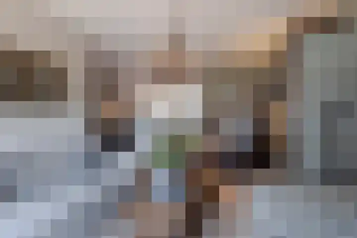 Rembrandtlaan 75 Papendrecht thumbnail 10