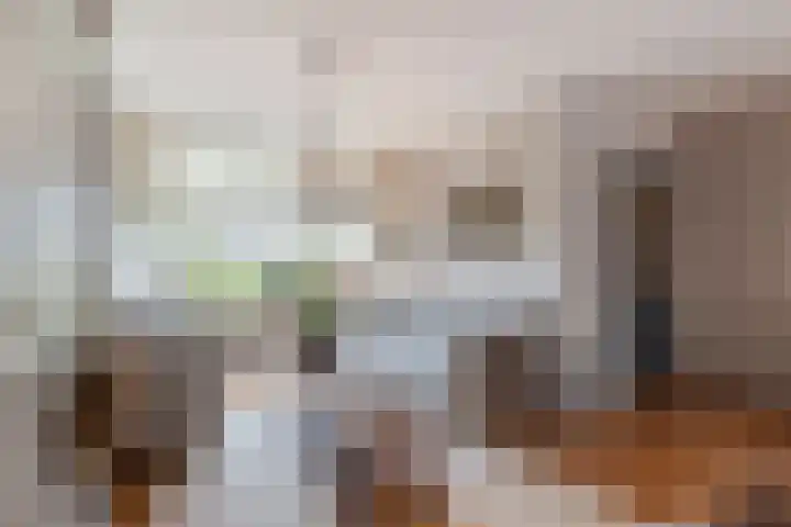 Rembrandtlaan 75 Papendrecht thumbnail 11